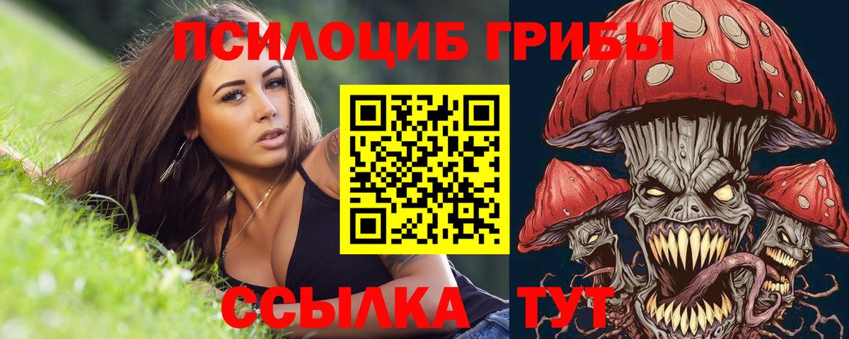 Псилоцибиновые грибы GOLDEN TEACHER Сатка
