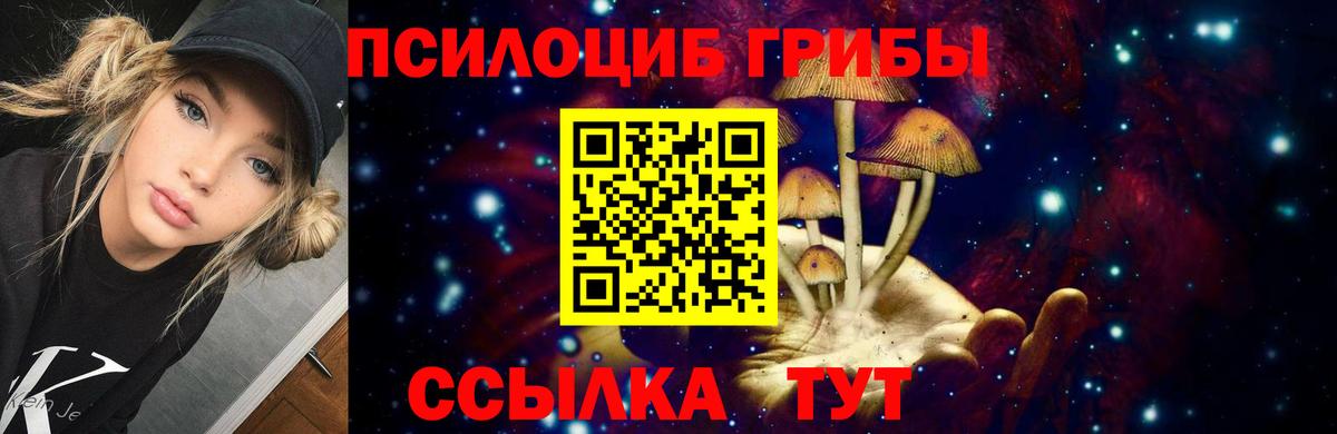 купить  цена  Псилоцибиновые грибы GOLDEN TEACHER  Вход с VPN  Псилоцибиновые грибы мицелий  Сатка 